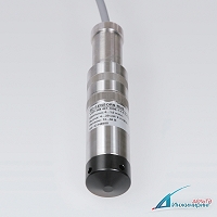 BD SENSORS RUS LMP 308 — Погружной зонд из нержавеющей стали для измерения уровня